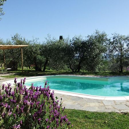 Agriturismo Il Castagnolino San Gimignano Exterior foto
